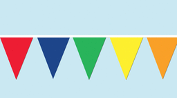 120' Pennant Banner Multi Color
