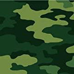 Amscan Party Supplies Camouflage Lunch Napkins          (16 count)