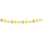 Citrus Fruit Garland by Unique from Instaballoons
