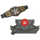 WWE Championship Ring Cake Kit