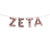ZETA Greek Sorority Fraternity Balloon Banner Set