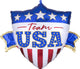 Team USA 26″ Balloon