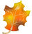 Satin Fall Leaf 34″ Foil Balloon by Anagram from Instaballoons