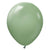Kalisan Retro Eucalyptus 12″ Latex Balloons (10 count)