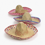 Adult Embroidered Sombrero