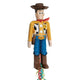 Woody 3D Pull Pinata 18"