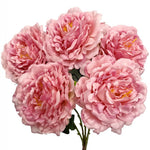 Peony Bush - Rose Gold - 1 Bouquet 21"