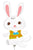 Easter Bunny Vest 14" Balloon