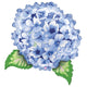 Hydrangea 32" Foil Balloon