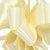 Double Face Satin 50yd No9 - Ivory