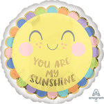 Sweet Baby Sunshine 17" Balloon
