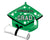 School Colors - Green 25" Balloon