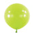 24" Fashion Kiwi (4 count)