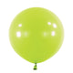 24" Fashion Kiwi (4 count)