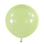 24" Fashion Sage (4 count)