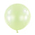 24" Macaron Honey Dew (4 count)