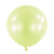 24" Macaron Pistachio (4 count)