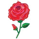 Rose Radiance 38" Foil