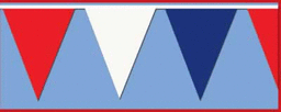 120' Pennant Banner - Red/White/Blue