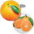 Round Oranges 14" Foil Balloon