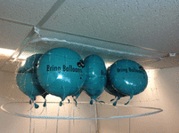 Balloon Corral - 4'×4'×18
