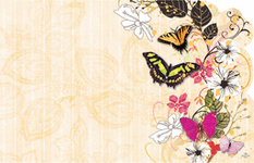 Enclosure Card - Flower-Butterfly (50 count)