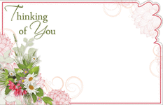 Enclosure Card - Thinking of You (50 count)