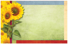 Enclosure Card - Sunflower (50 count)