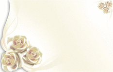 Enclosure Card -Blank Ivory Roses (50 count)