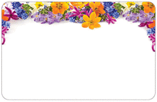 Enclosure Card - Blank Colorful Flowers (50 count)