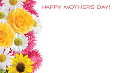 Enclosure Card - Happy Mother's Day Bright Daisies