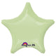 Star - Leaf Green 19″ Balloon