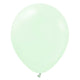 Kalisan Macaron Pale Green 12″ Latex Balloons (10 count)