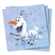 Frozen Beverage Napkins (16 Pk)