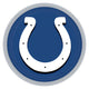 Indianapolis Colts Paper Plates 9″ (8 count)