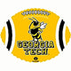 Georgia Tech Yellow Jackets Football 21″ Balloon
