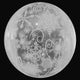 Snowflake Transparent 16″ Balloon
