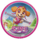 Paw Patrol Skye Paper Plates 9″ (8 count)