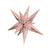 12 Point Large Star-burst - Rose Gold (air-fill Only) 27″ Balloon
