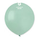 Aquamarine 19″ Latex Balloons (25 count)