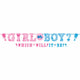 Gender Reveal Girl or Boy? Banner