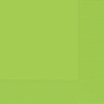 Amscan Party Supplies Kiwi  Lunch Napkins 2Ply 50ct (50 count)