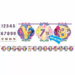 Amscan Party Supplies Shimmer and Shine Add An Age Banner