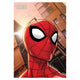 Bolsas de botín de Spider-man Web (8 unidades)