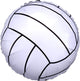 Championship Volleyball 17″ Balloon