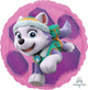 Paw Patrol Skye & Everest Balloon