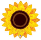Autumn Sunflower 22″ Balloon