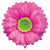 Betallic Mylar & Foil Bright Blooms Pink 24″ Balloon