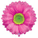 Globo Bright Blooms Rosa 24″
