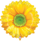 Globo Bright Blooms Girasol Amarillo 24″